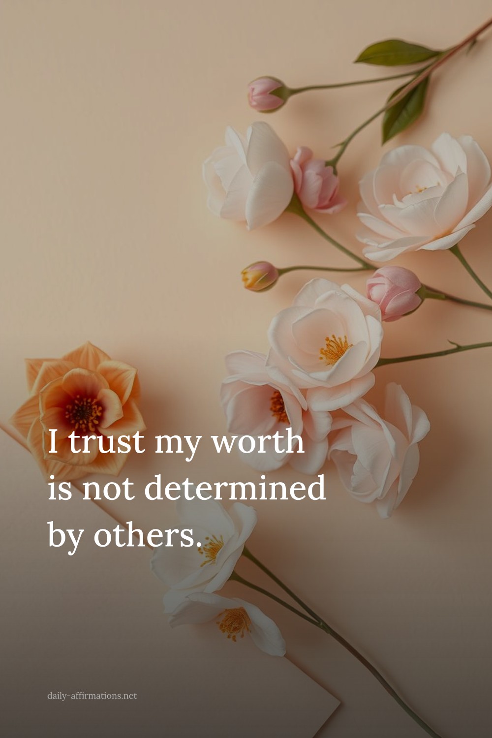 I trust my worth is not determined by others.