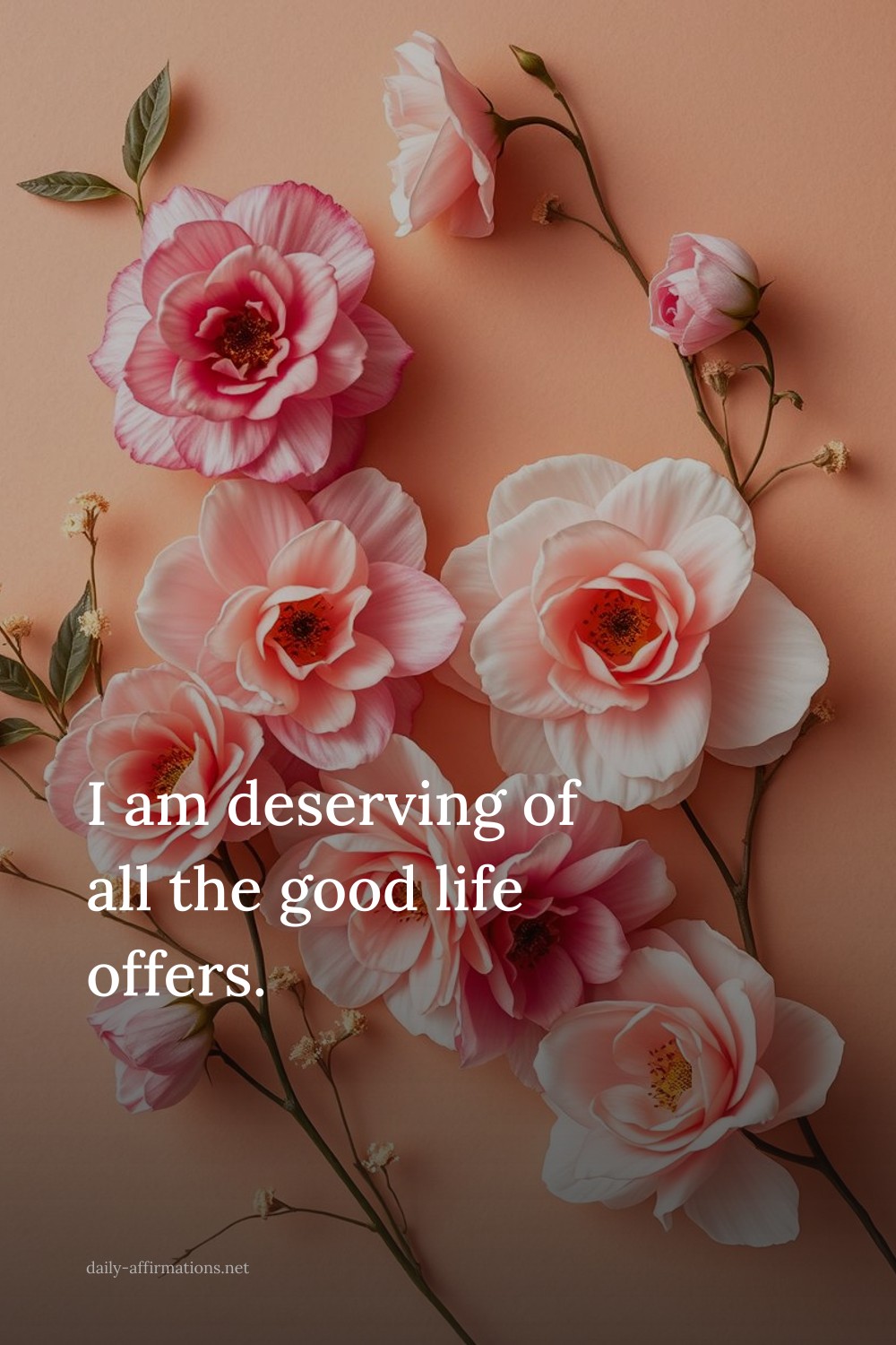 I am deserving of all the good life offers.