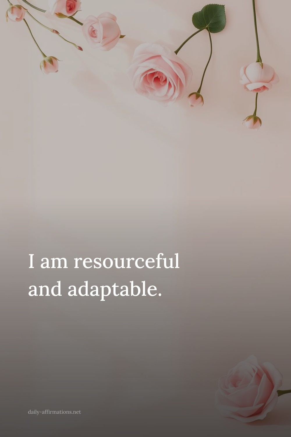 I am resourceful and adaptable.