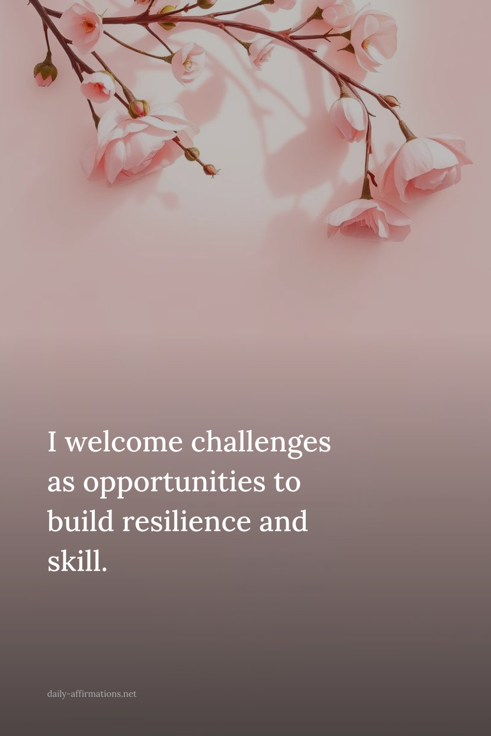 I welcome challenges as opportunities to build resilience and skill.