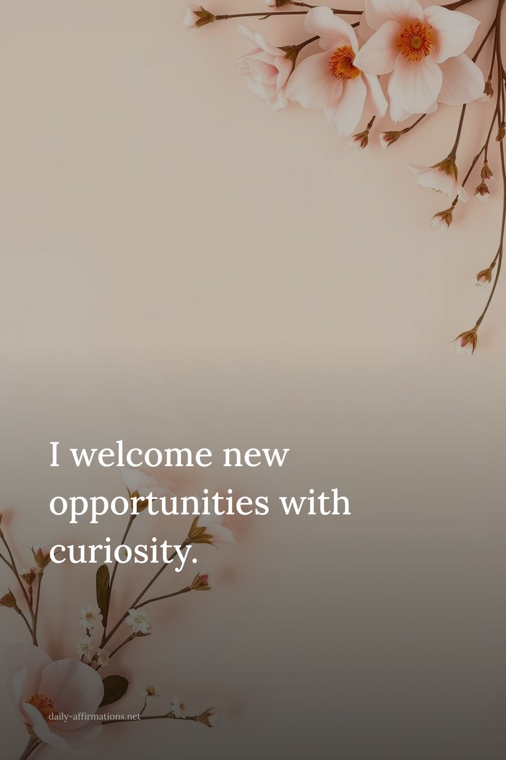 I welcome new opportunities with curiosity.