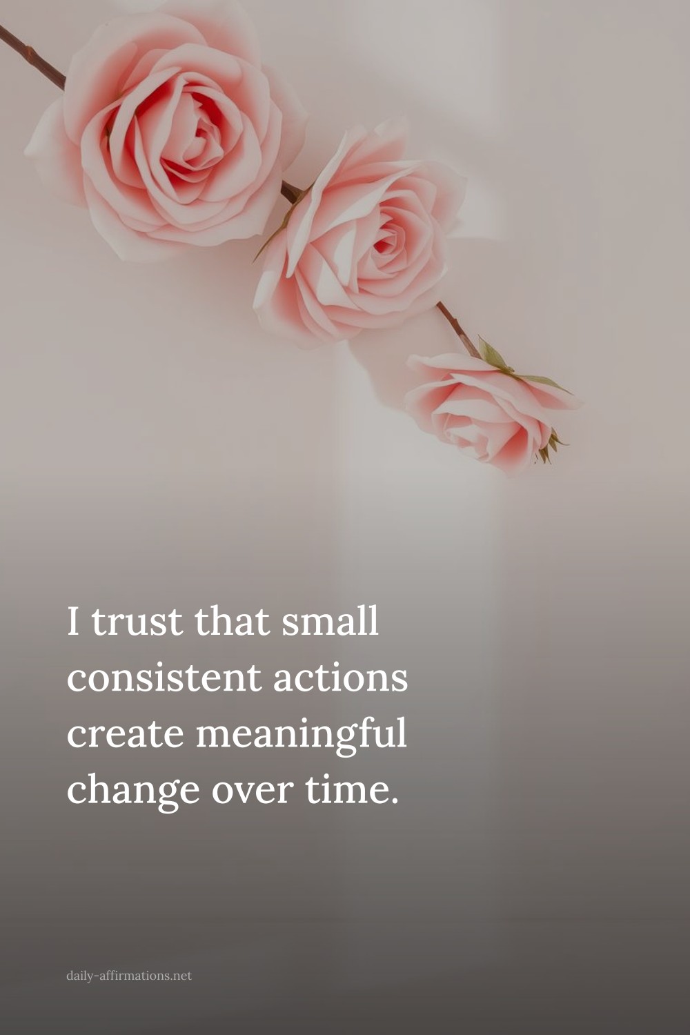 I trust that small consistent actions create meaningful change over time.