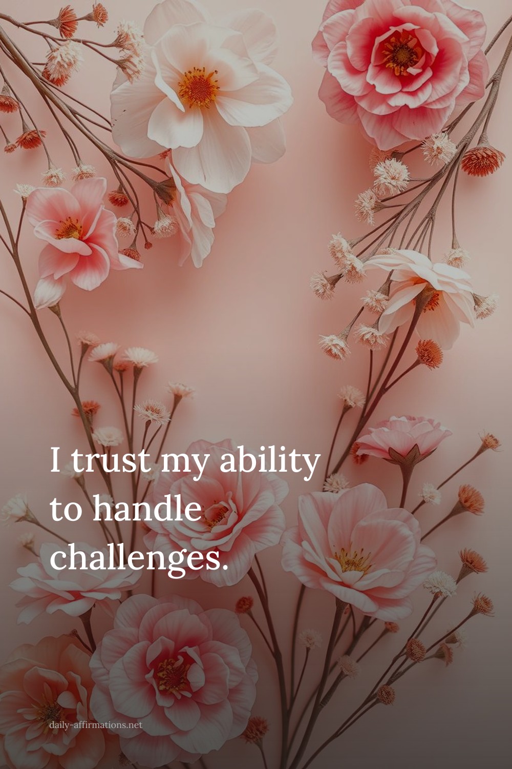 I trust my ability to handle challenges.