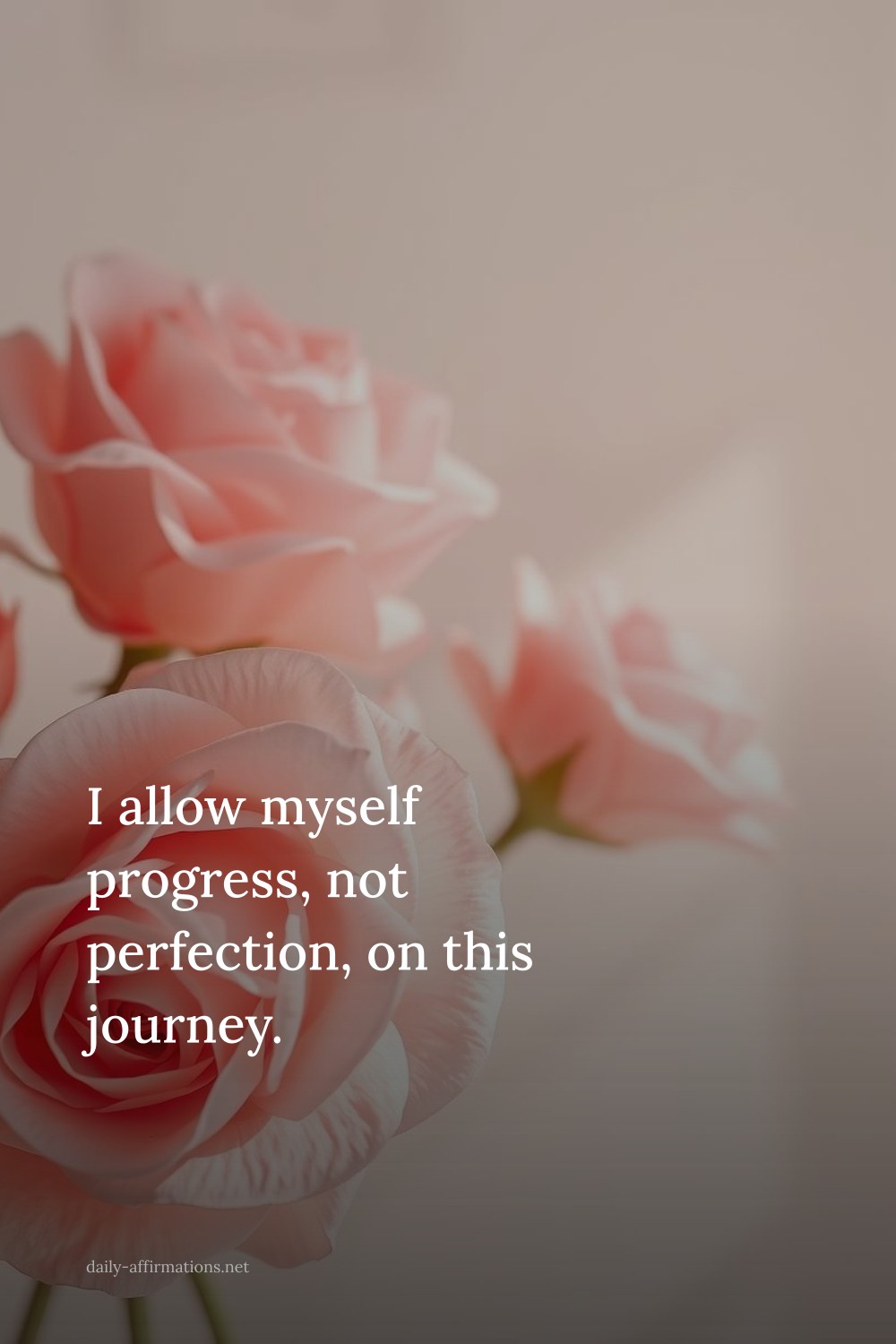 I allow myself progress, not perfection, on this journey.