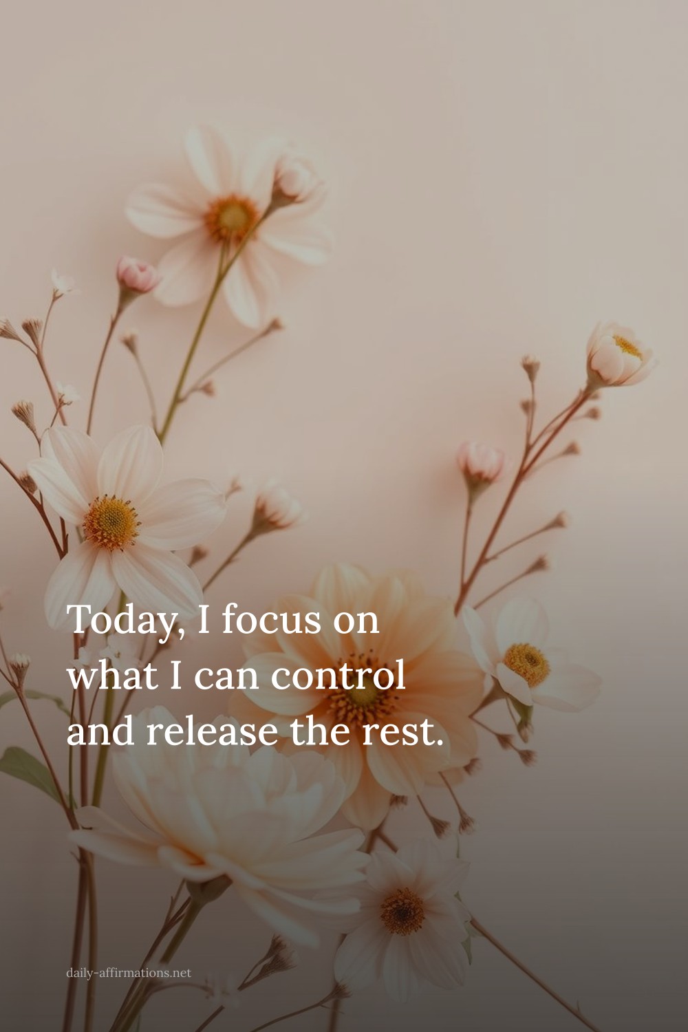 Today, I focus on what I can control and release the rest.