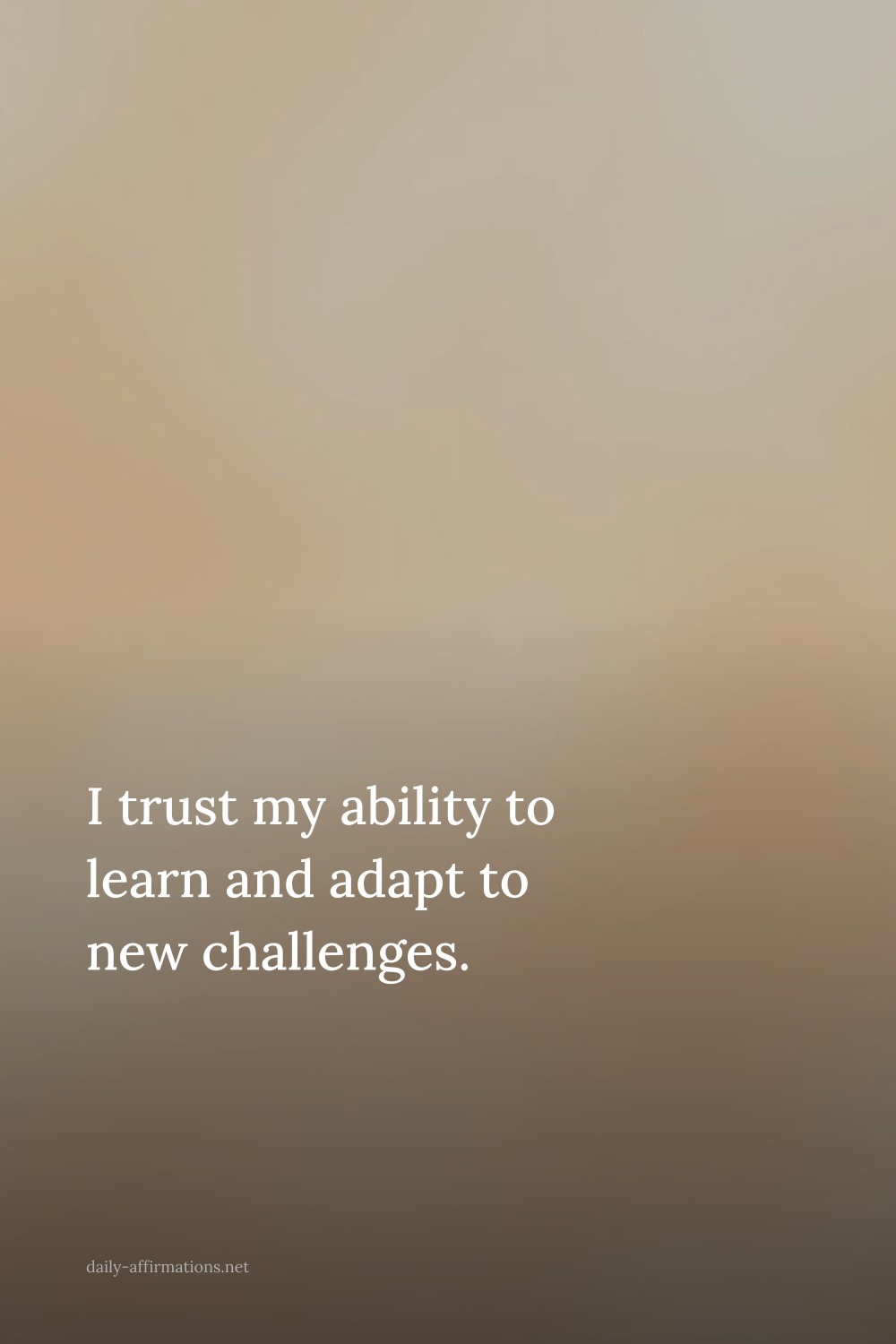 I trust my ability to learn and adapt to new challenges.