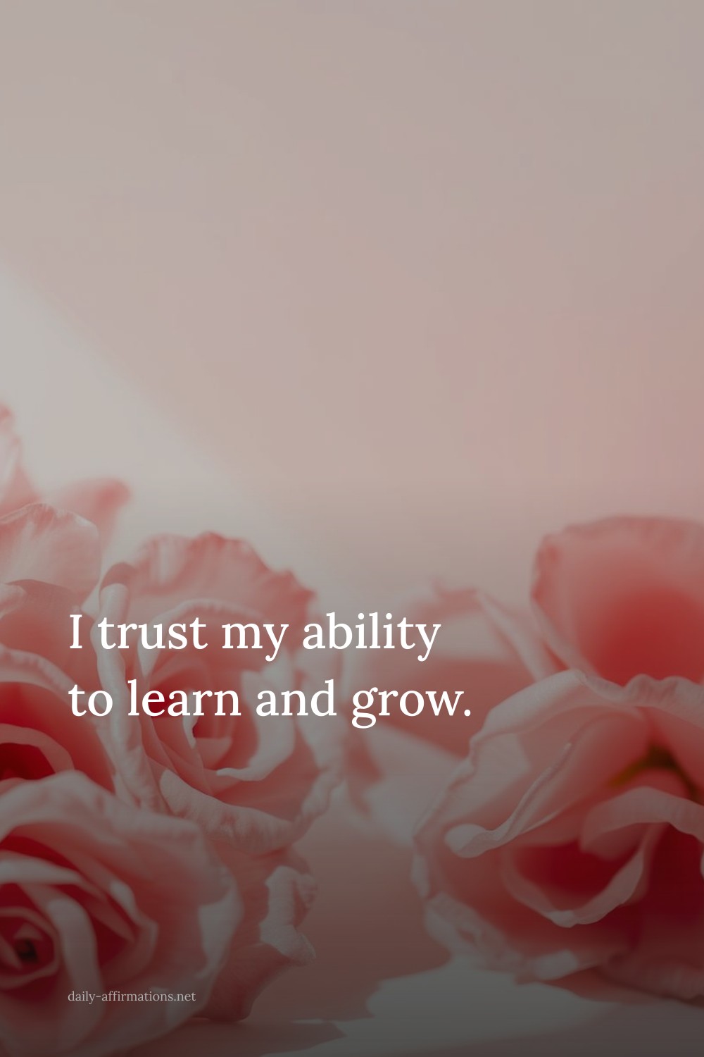 I trust my ability to learn and grow.