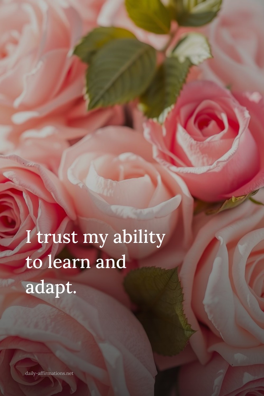 I trust my ability to learn and adapt.