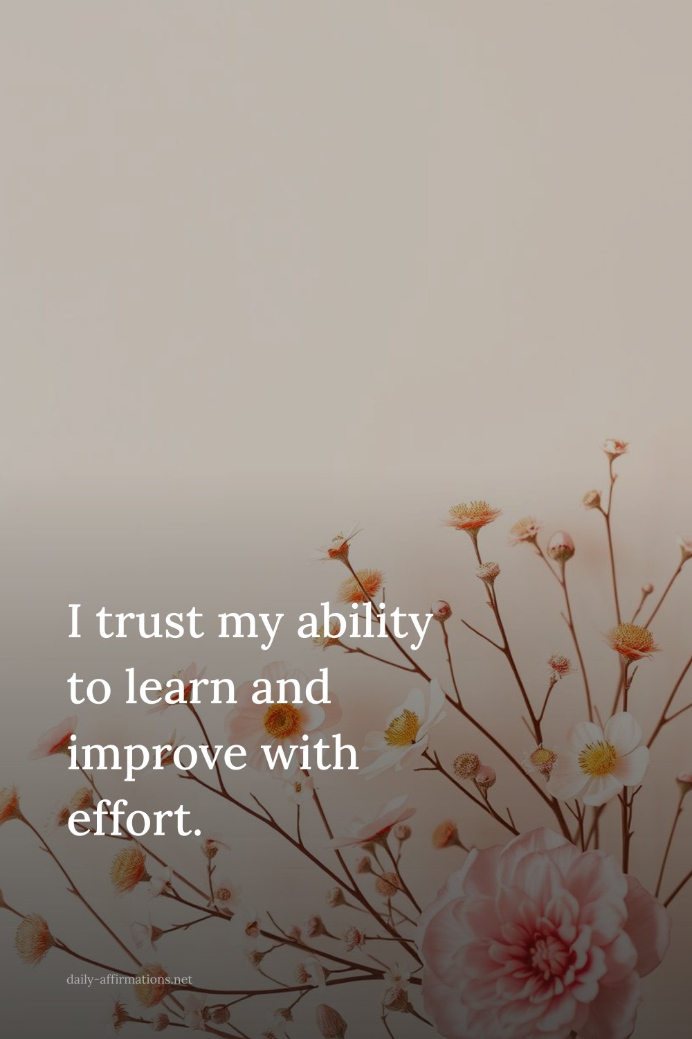 I trust my ability to learn and improve with effort.