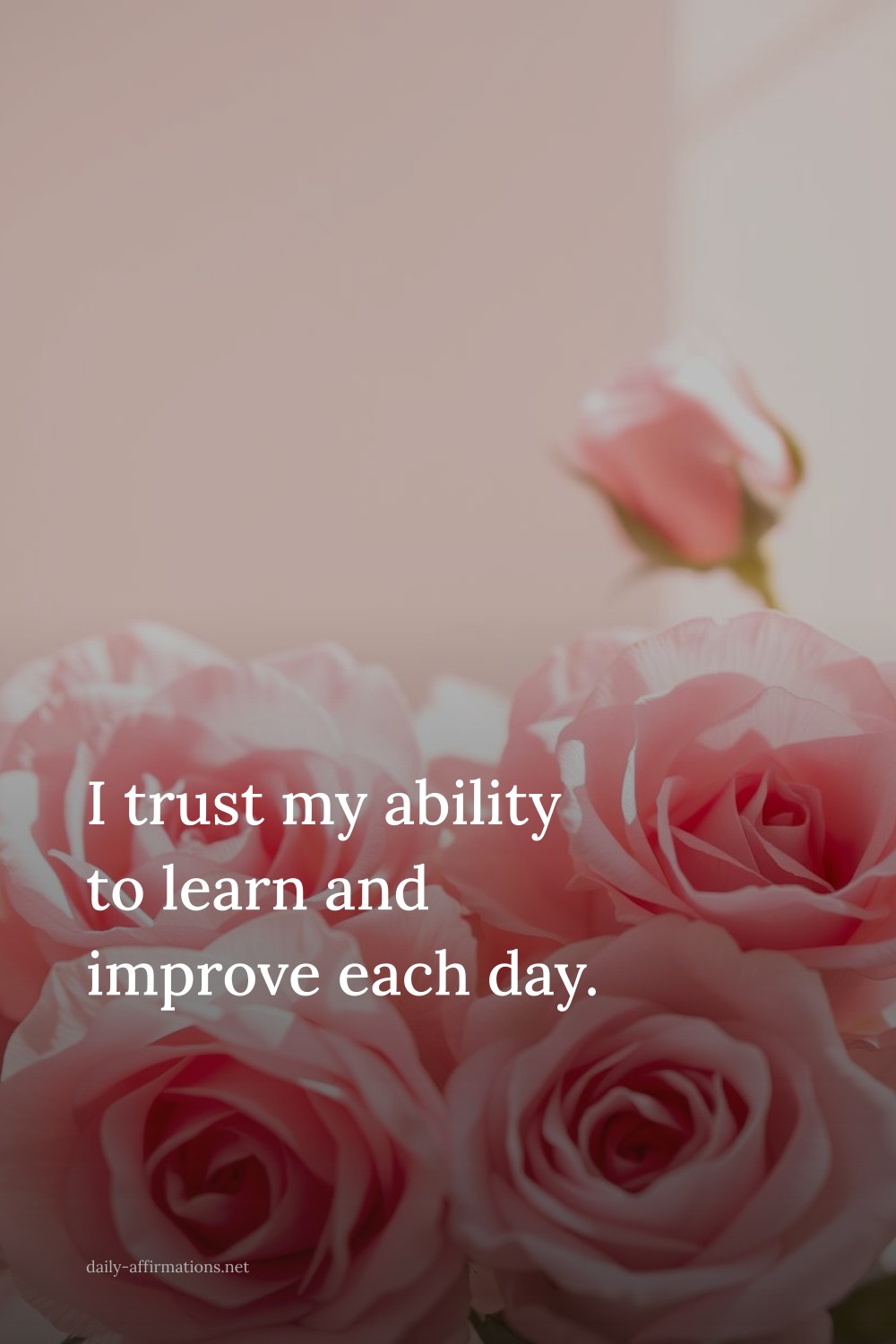 I trust my ability to learn and improve each day.