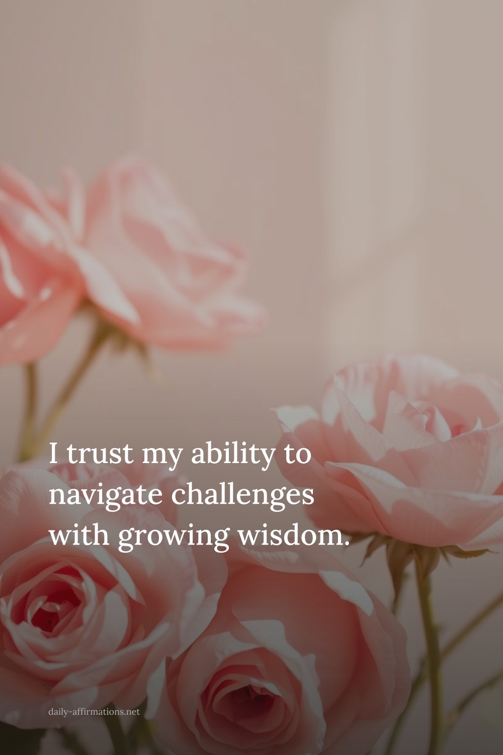 I trust my ability to navigate challenges with growing wisdom.
