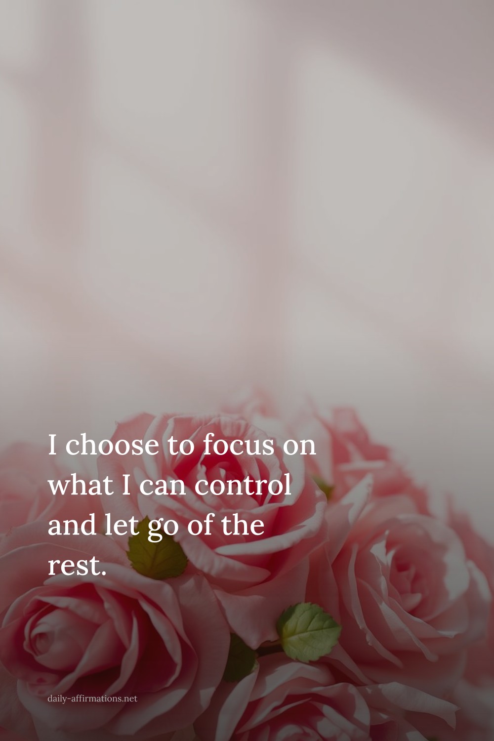 I choose to focus on what I can control and let go of the rest.