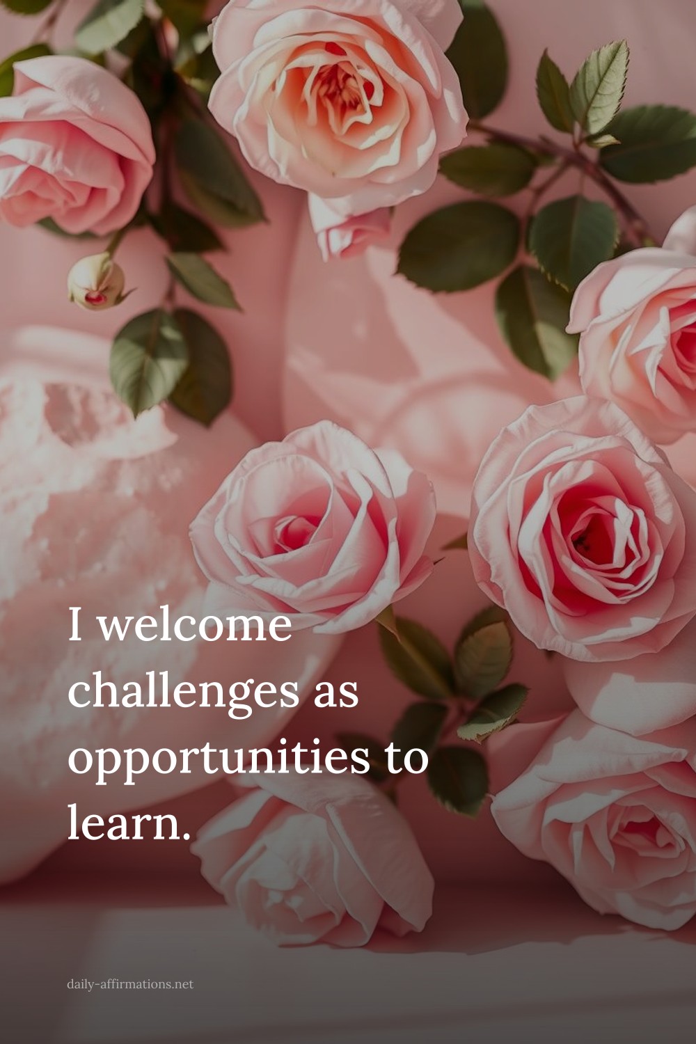 I welcome challenges as opportunities to learn.
