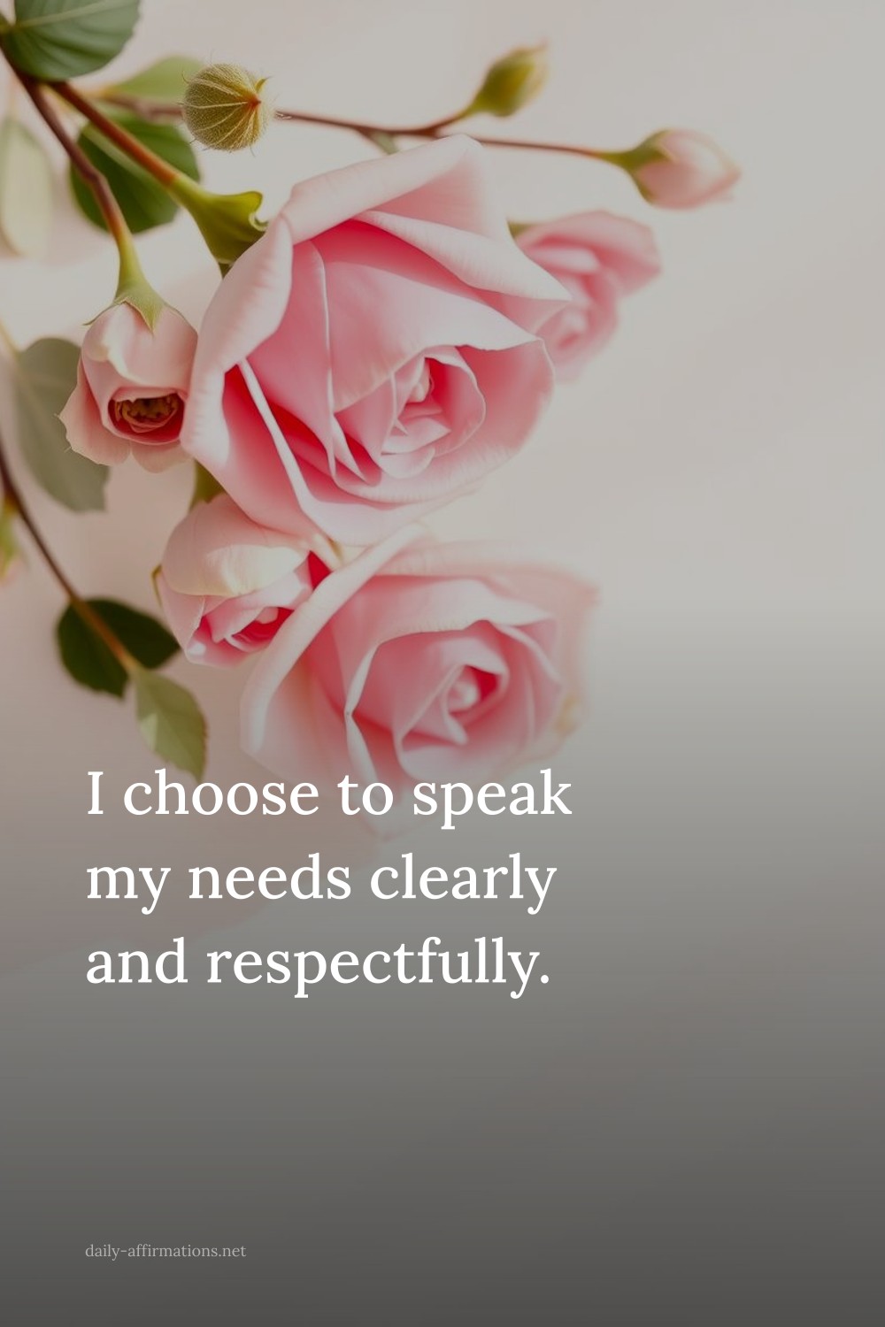I choose to speak my needs clearly and respectfully.
