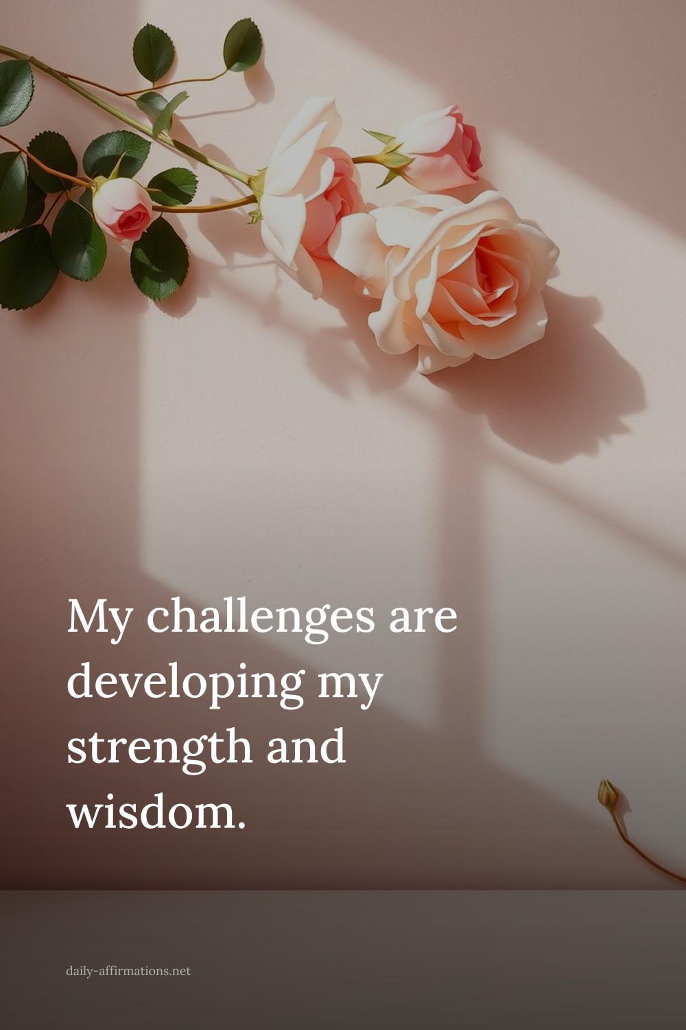 My challenges are developing my strength and wisdom.