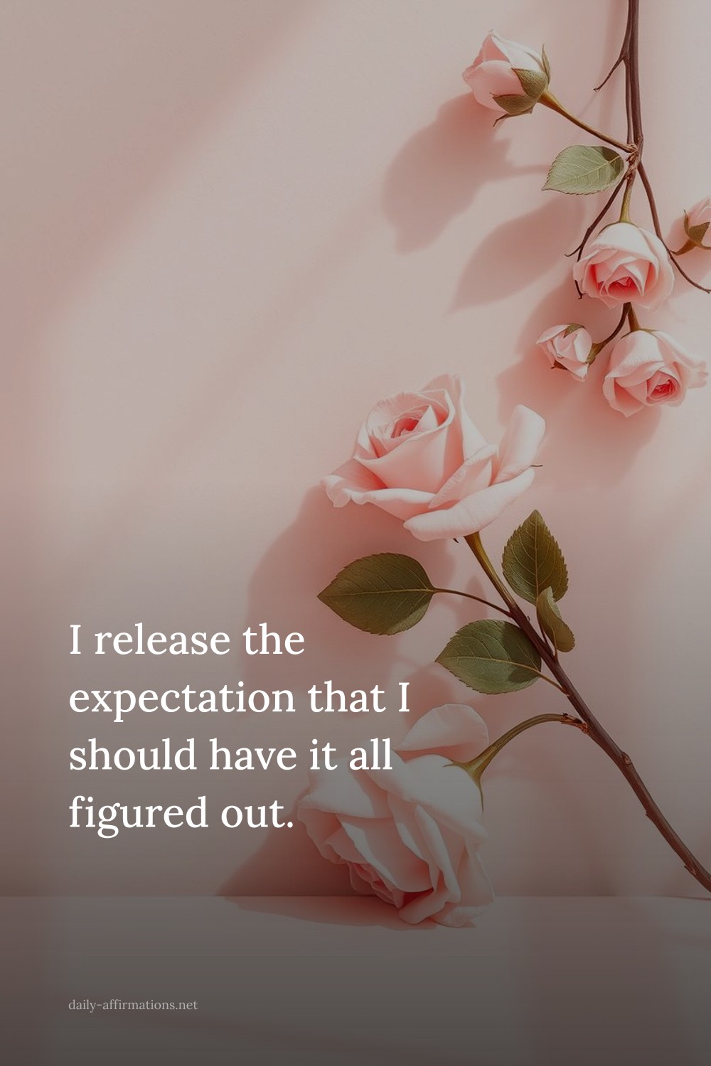 I release the expectation that I should have it all figured out.