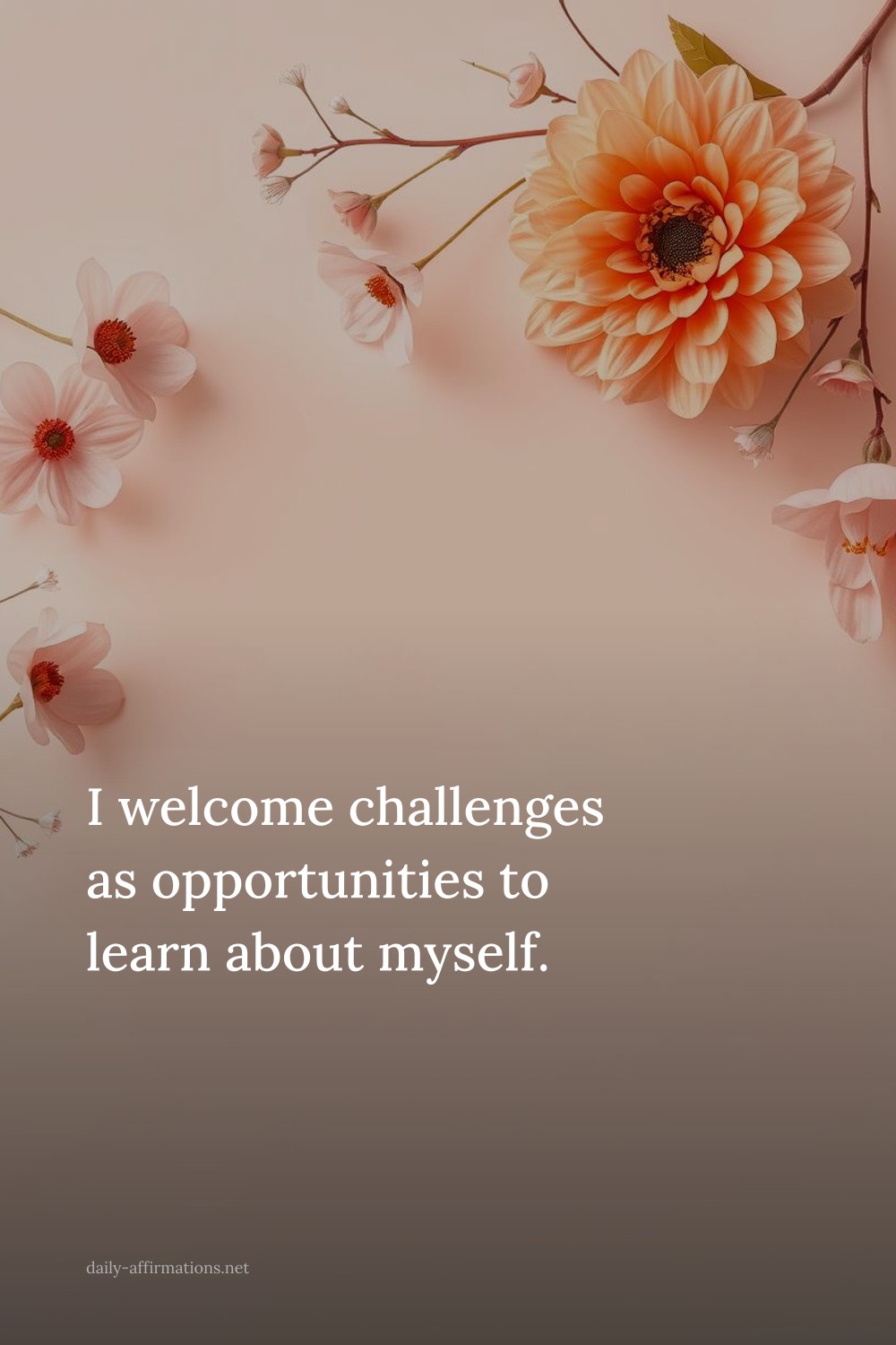 I welcome challenges as opportunities to learn about myself.