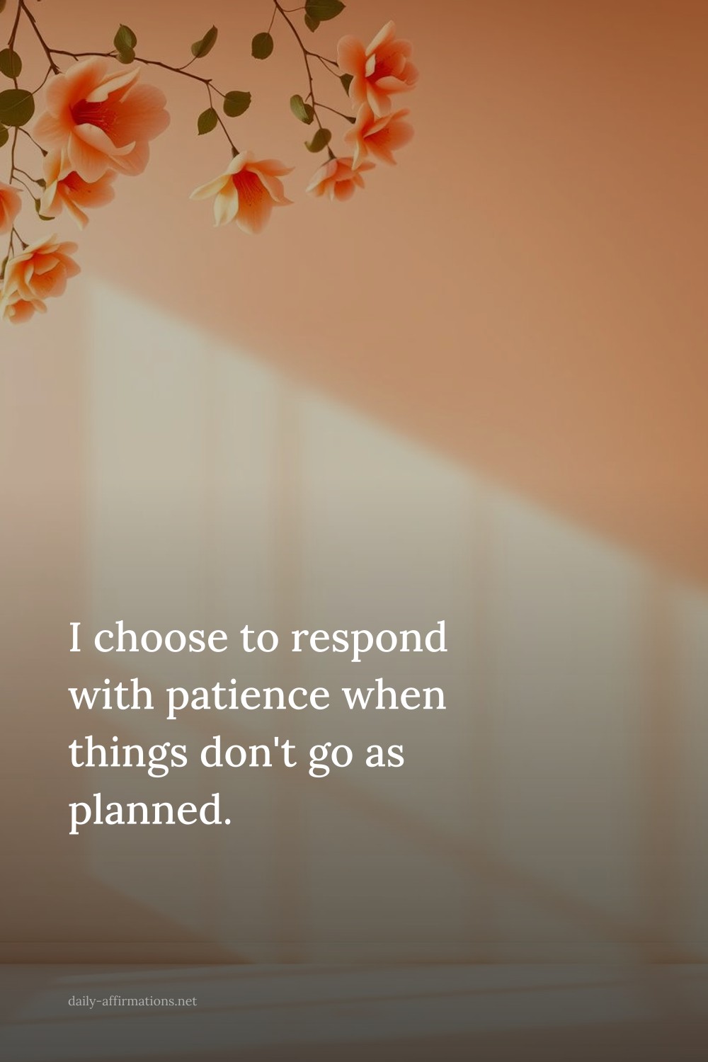 I choose to respond with patience when things don't go as planned.