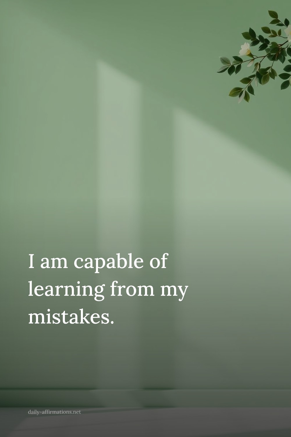 I am capable of learning from my mistakes.