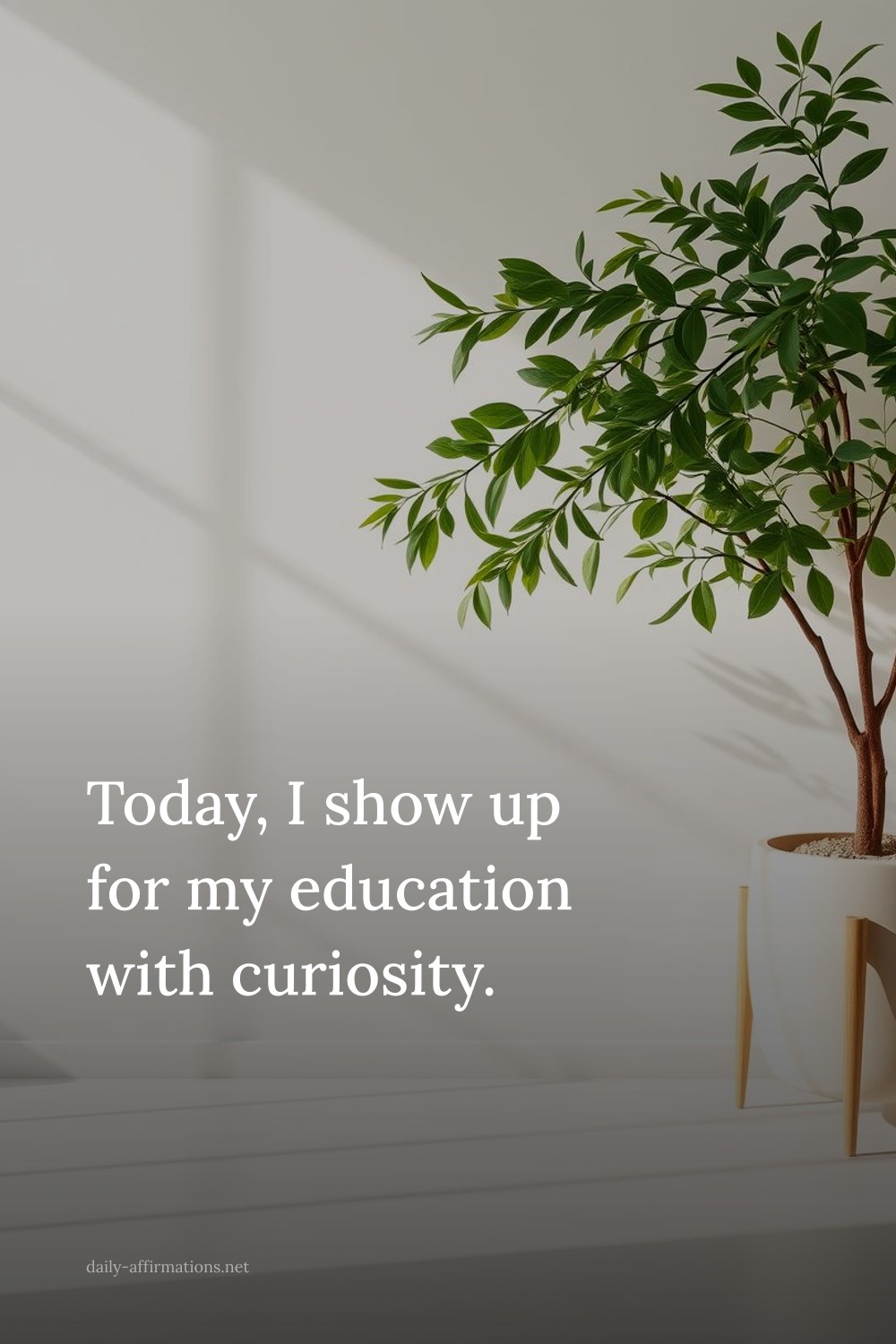 Today, I show up for my education with curiosity.