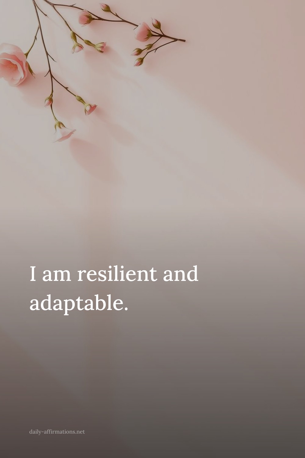 I am resilient and adaptable.