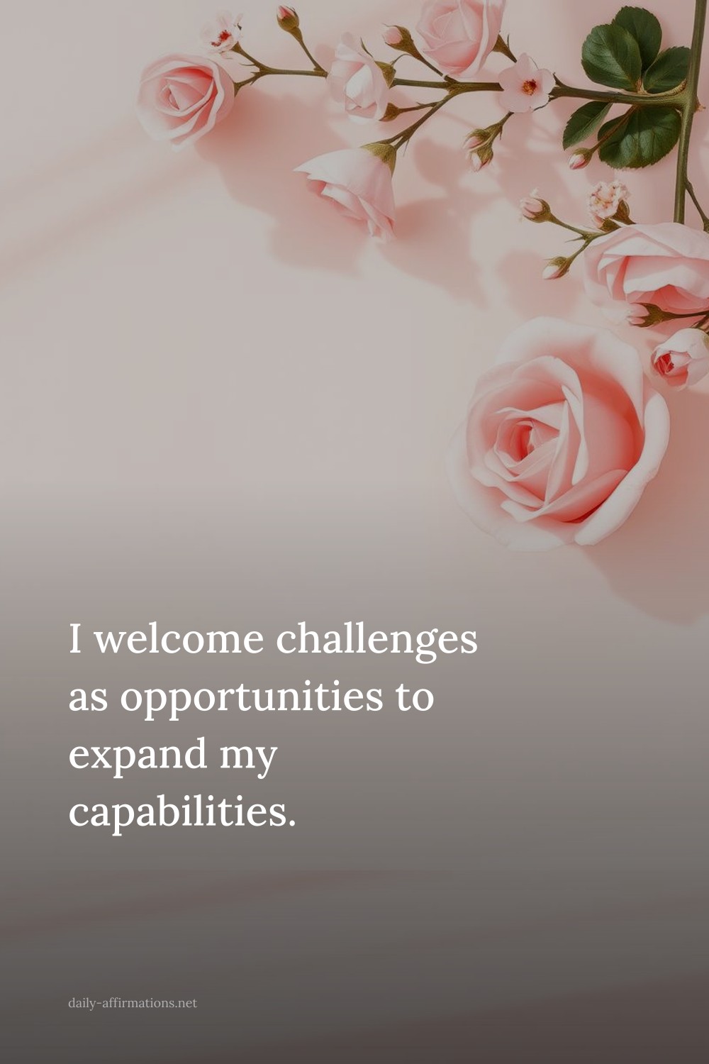I welcome challenges as opportunities to expand my capabilities.