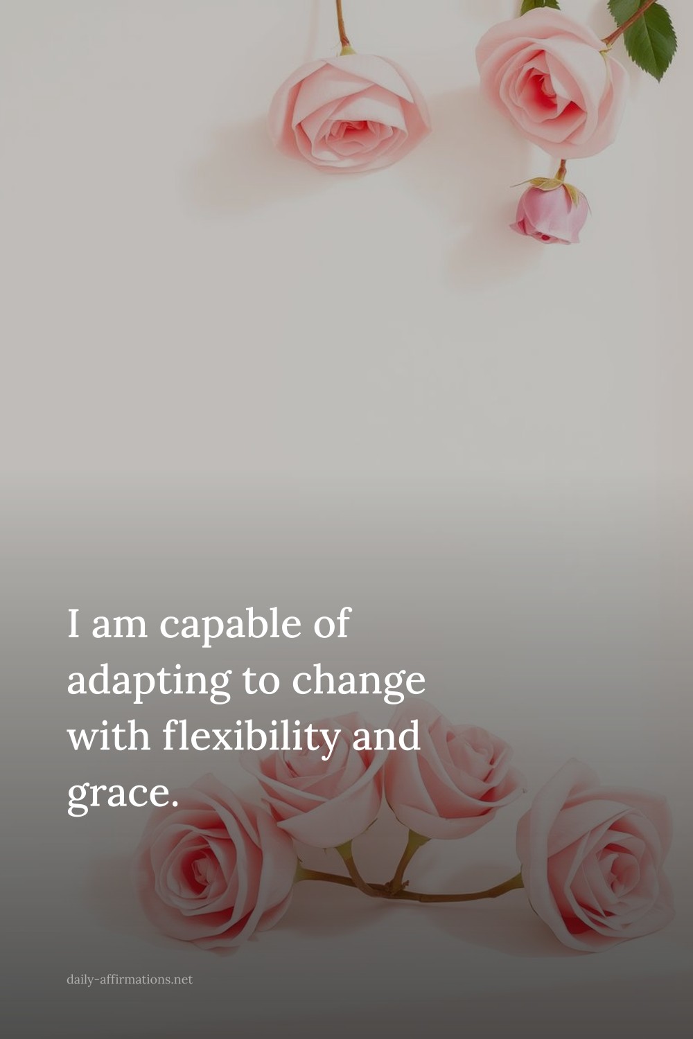 I am capable of adapting to change with flexibility and grace.