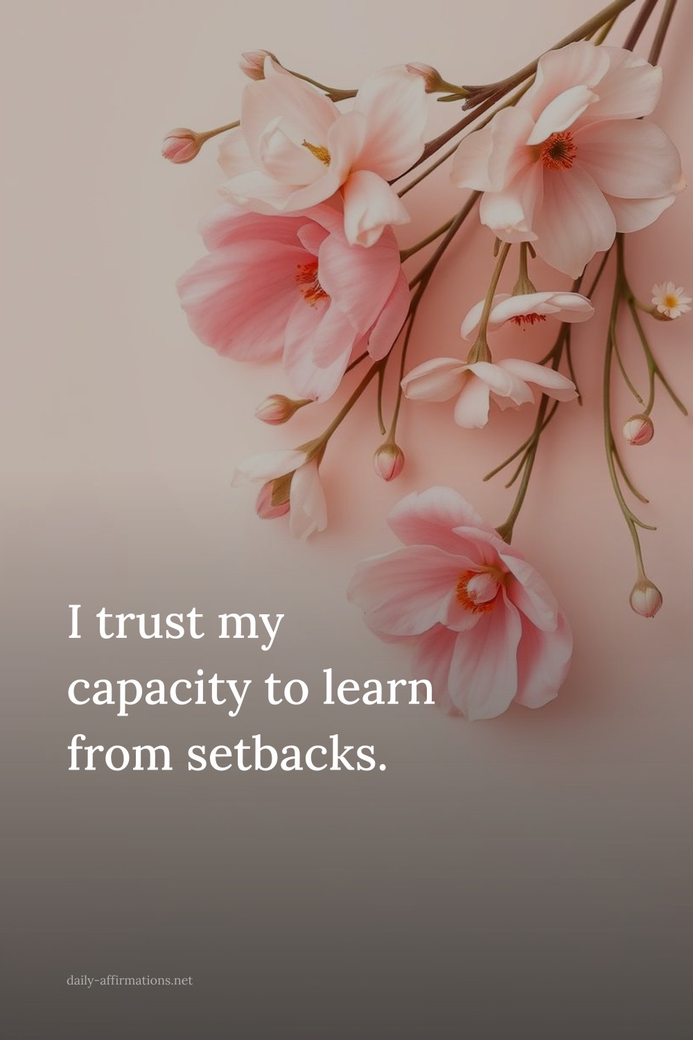 I trust my capacity to learn from setbacks.