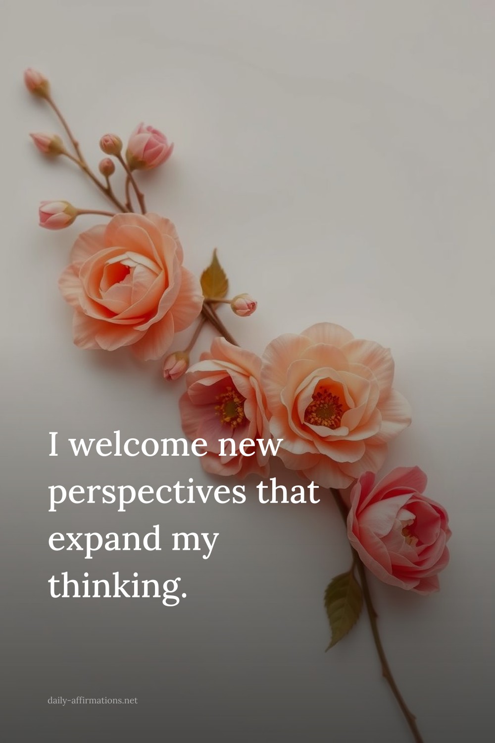 I welcome new perspectives that expand my thinking.