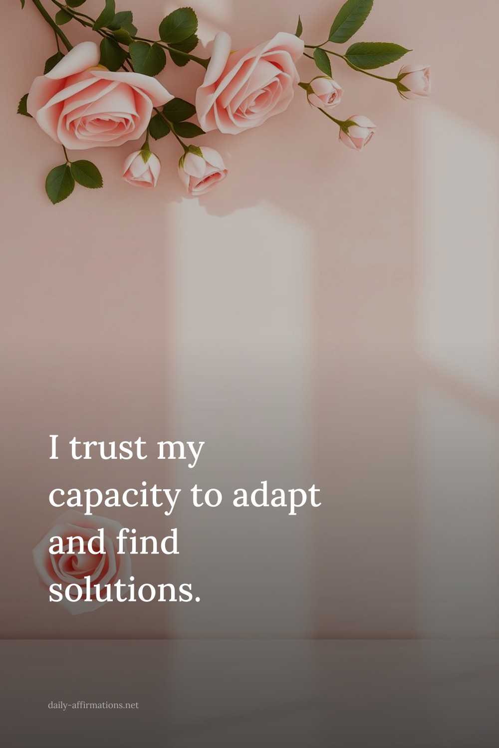 I trust my capacity to adapt and find solutions.