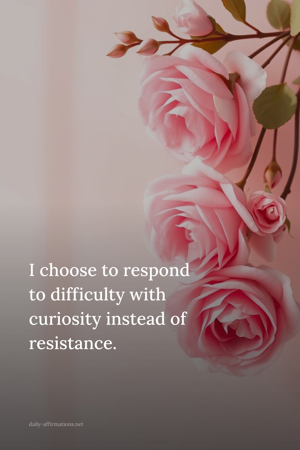 I choose to respond to difficulty with curiosity instead of resistance.